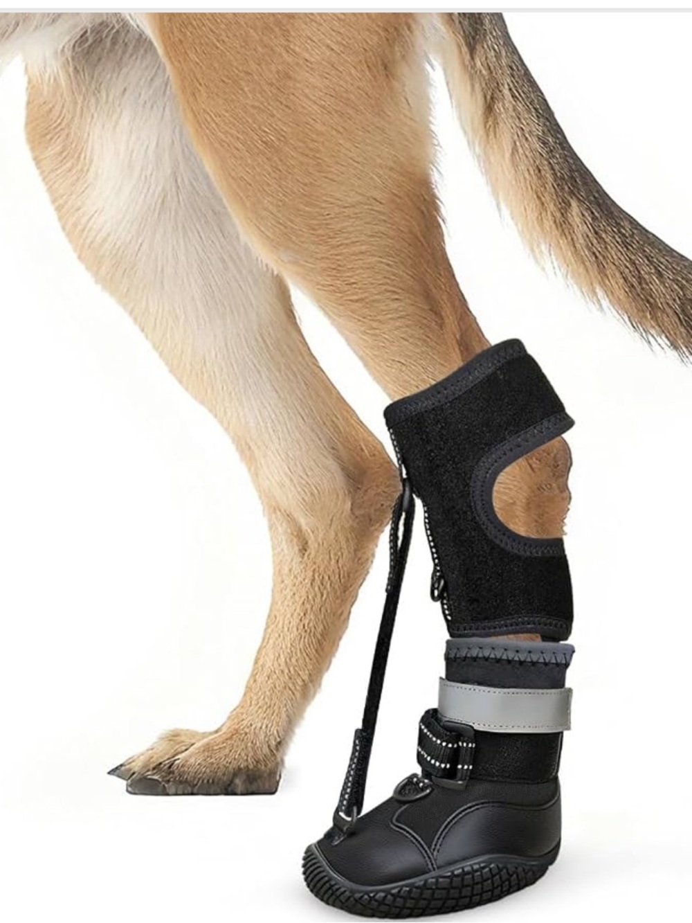 Protective Dog Boots braces